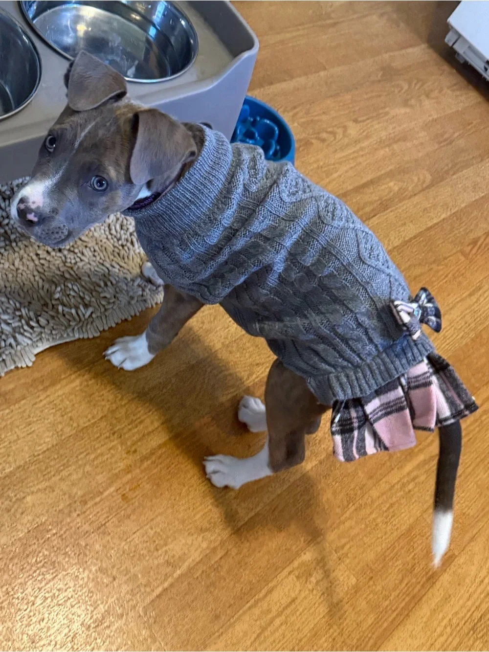 Gray Cable-Knit Dog Sweater with Pink Plaid Bow and Trim Size Large